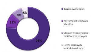 czyszczenie BIK